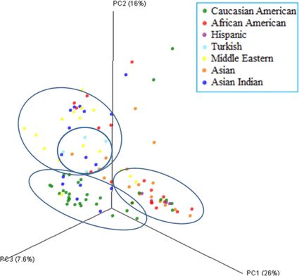 a plot showing hand baceteria grouping based on ethnicity